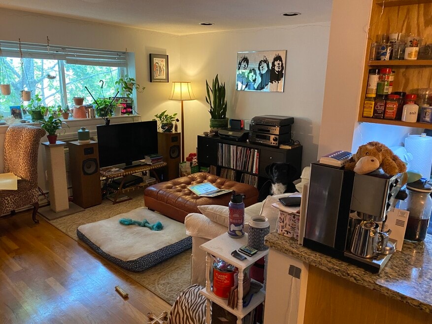 15 Euston Rd unit 19, Brighton, MA 02135 - photo 1