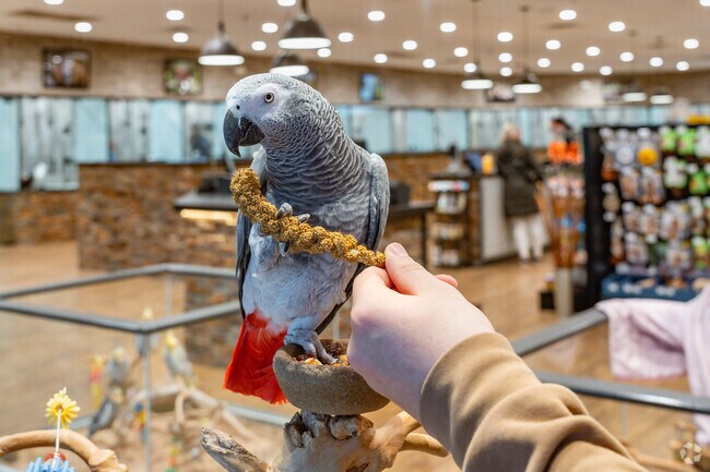 Children from Brentwood Park enjoy playing with animals at the Petland store.