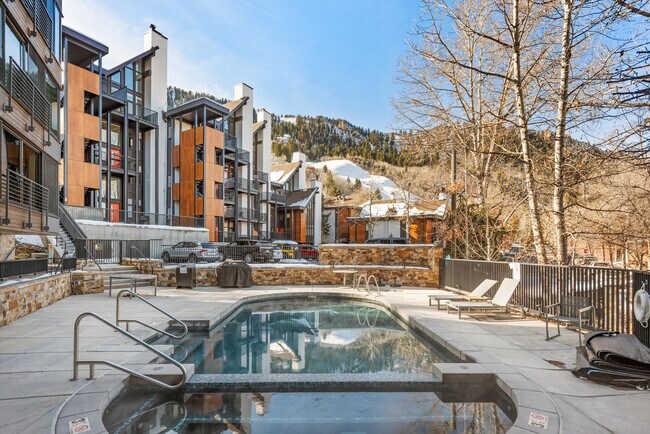 800 S Mill St unit ID1030154P, Aspen, CO 81611 - photo 5