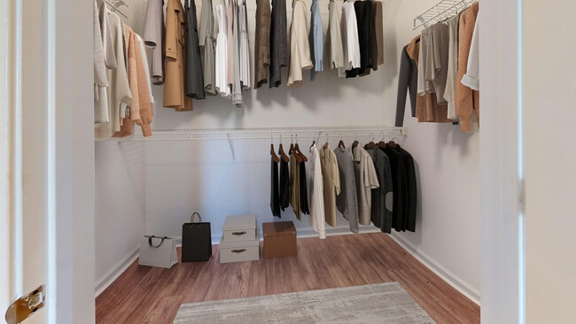 Walk-in Closet