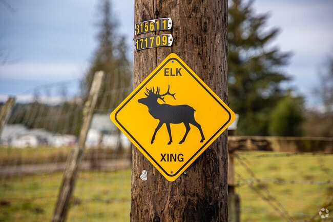 Hobart's rural location ensures you will see plenty of local wildlife.