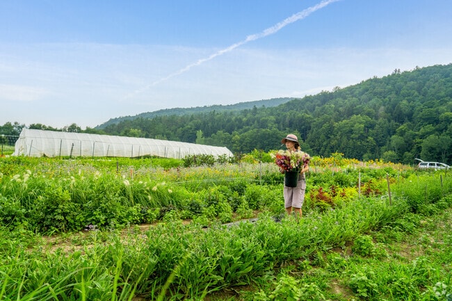 Rock Meadow Farms in Huntington offers handpicked flowers from local fields.