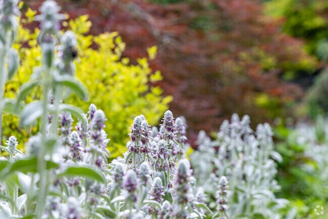 Beauty is found in many forms throughout Mount Airy.