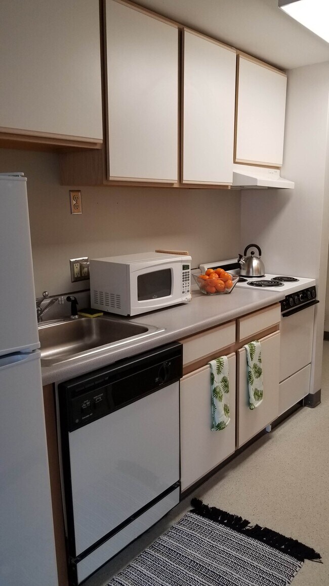 Collegetown Plaza/Collegetown Center, Ithaca, NY 14850 - photo 5