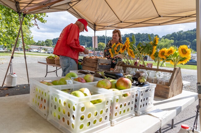 Residents gather at the New Brighton Farmers Market to shop fresh produce and baked treats.