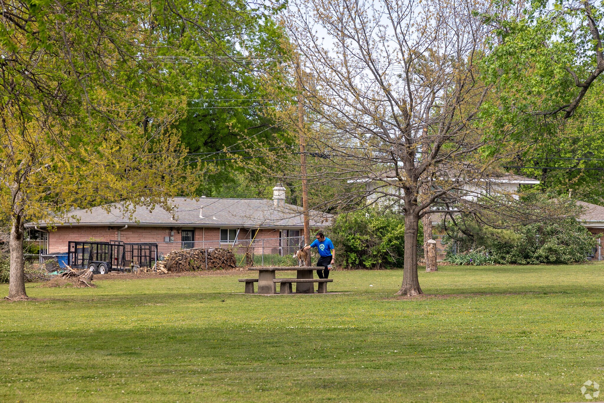 Darlington Park offers plenty of greenspace for dog owners.