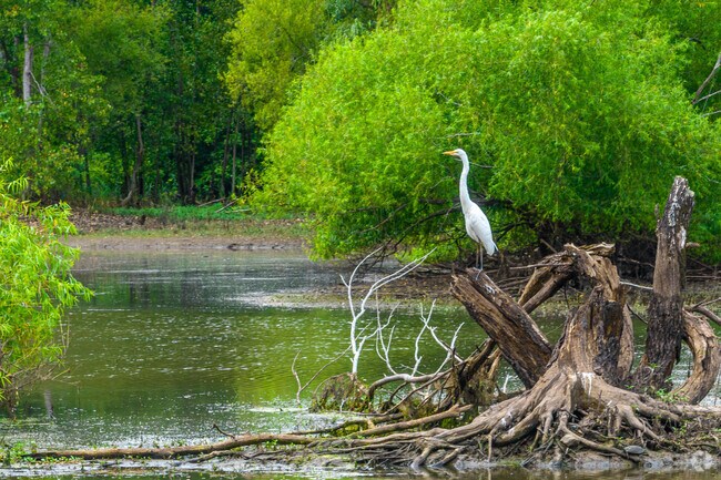 Enjoy the wildlife in Commerce Road Wetlands in Clinton.