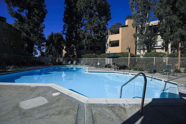 Pool with Hot Tub