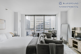 201 N Garland Ct Unit FL29-ID1183, Chicago, IL 60601