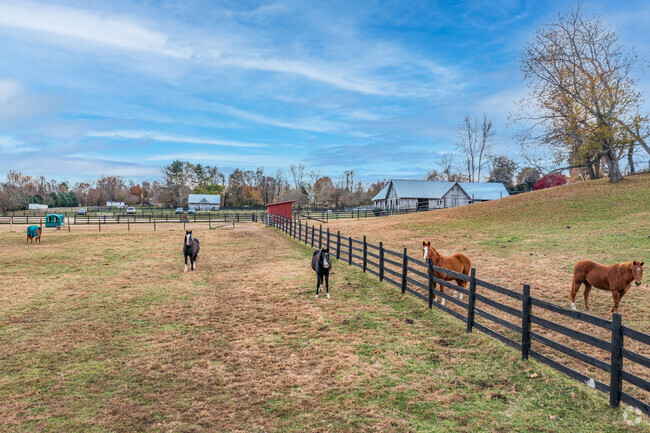 Immerse in the allure of Owings' horse farm, where equine elegance and rural beauty unite.