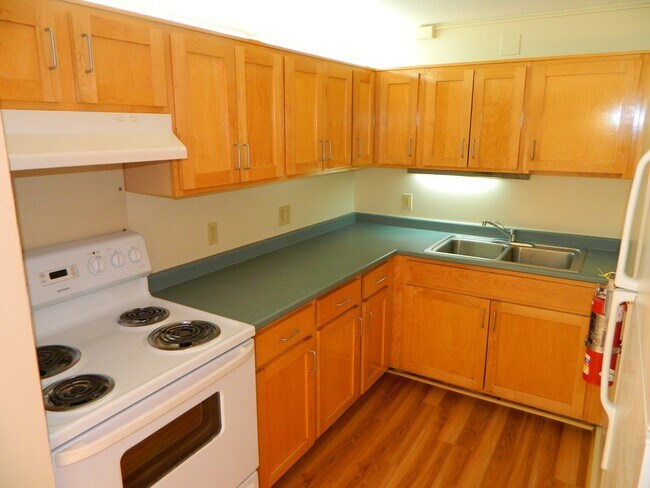 Catamount Lane Apts, Colchester, VT 05446 - photo 7