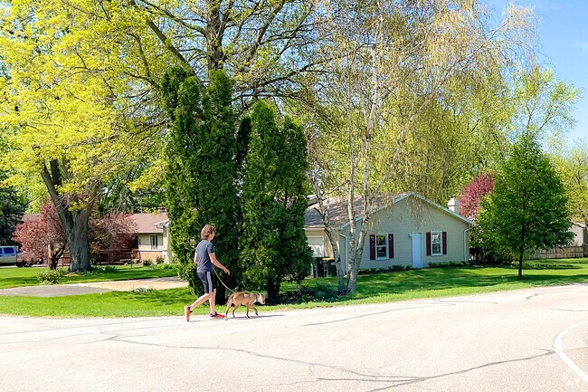 Resident of Wayne Enjoying their Daily Walk with Their Dog in The Residential Part of Town.