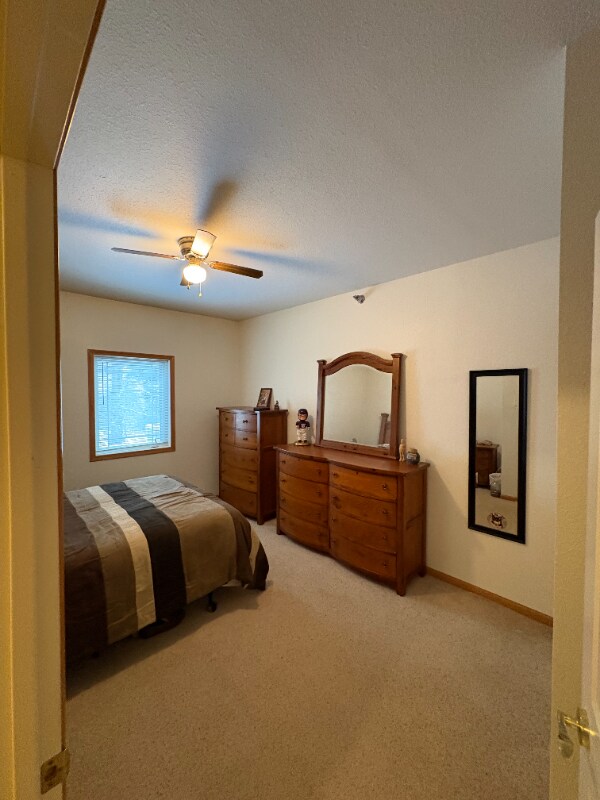 4835 Howard Gnesen Rd unit Apartment 206, Duluth, MN 55803 - photo 5