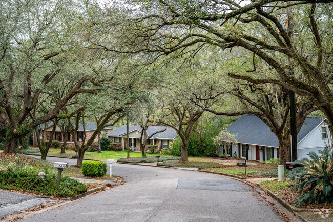 The row of houses in Park Hill of Mobile, AL have large trees lined on the street.