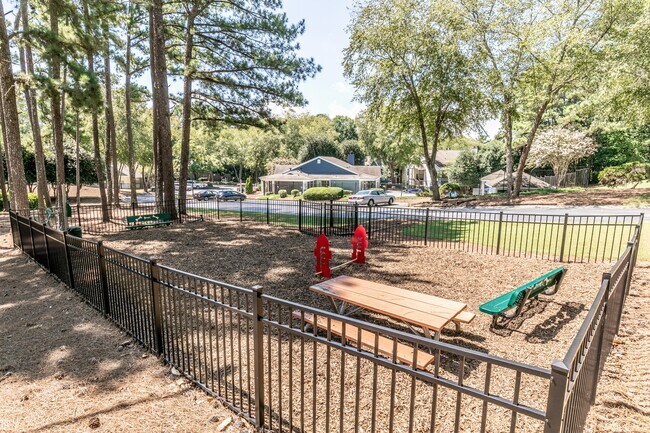 Private Paw Park with Agility Equipment
