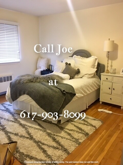 38 Harvard Ave unit 2, Brookline, MA 02446 - photo 4