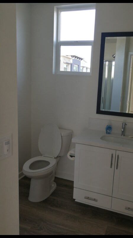 6066 Colt Place, Carlsbad, CA 92009 - photo 6