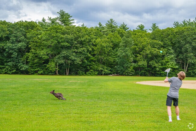 Bring your dogs to one of the Rolfe Park fields for the best game of fetch.