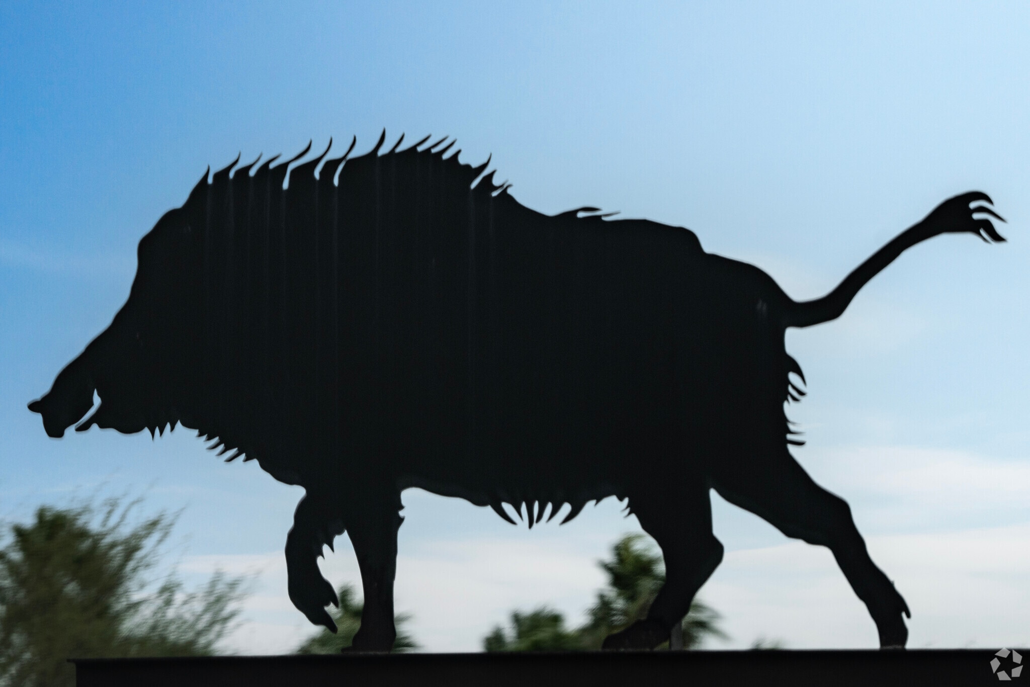 An art piece of a Javelina, which is a native species of the Las Milpas area.