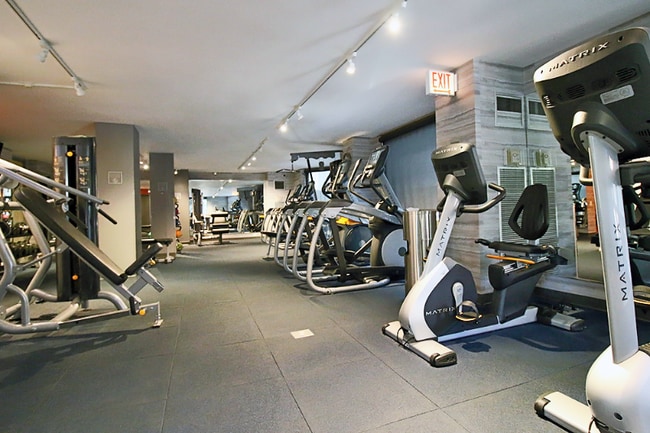 1130 E Cedar St, Chicago, IL 60610 - photo 7