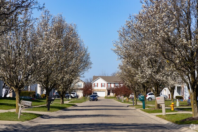 Trees line this residential street in Forest Park.