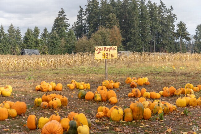 Flower Farmer Pumpkin Patch occurs every September and October.