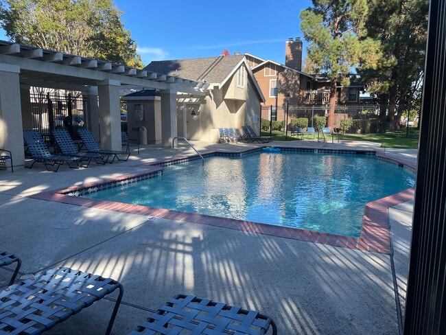 Pool hot tub shower, bathrooms, lounge areas