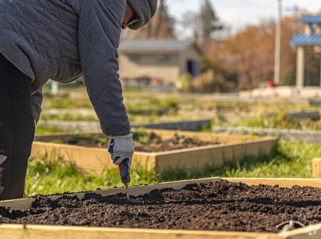 So many people love the community garden in Heritage Green Park.