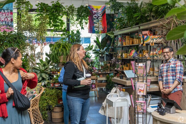 Paraiso Plant Studio in West Berkeley offers a plethora of indoor plants to choose from.