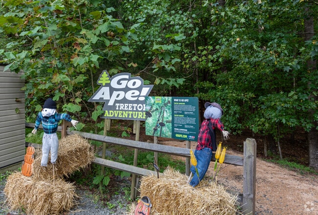Ride the zipline at Blue Jay Point County Park near Falls Lake.
