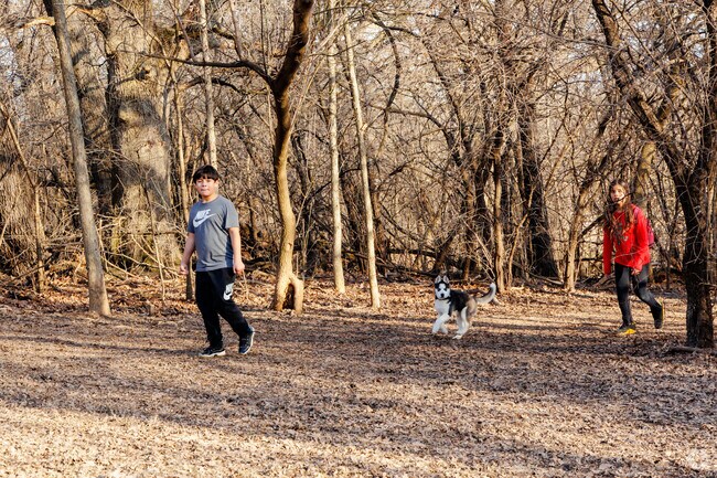 Lakewood Dog Park is a perfect spot for an off-leash walk with a puppy.