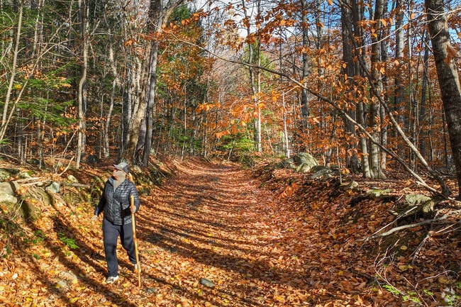 Ossipee Mountain offers sweeping views of Lake Winnipesaukee and the surrounding peaks.