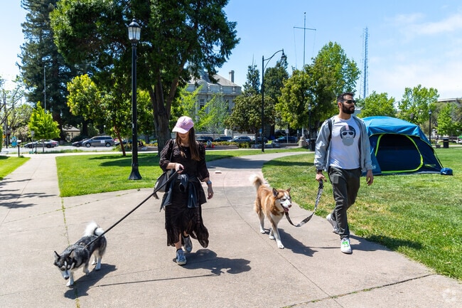 Martin Luther King Jr Civic Center Park provide a safe path for dog owners.