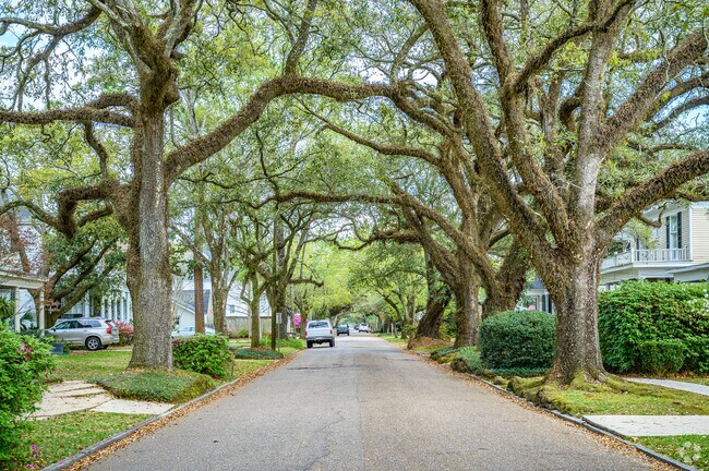 A beautiful tree-lined street in  Leinkauf, Mobile, AL.