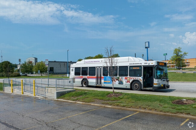 Cardinal Cakes and Coffee in Copley offers sweet treats and warm drinks daily.