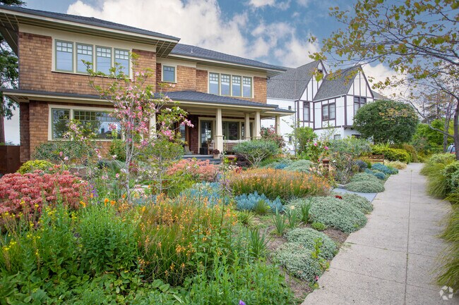 Large homes line the streets of Lakeshore.