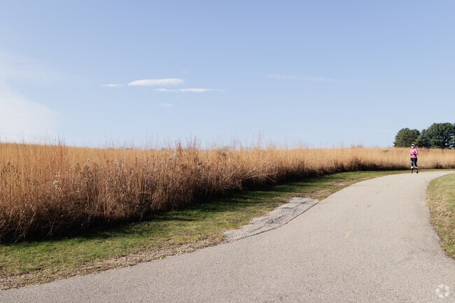 Ice Age Trail is one of the most spectacular place to run in Madison.