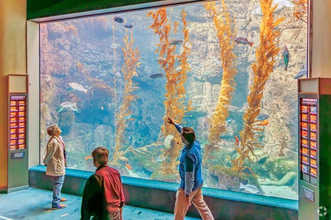 Explore marine life at Birch Aquarium, where ocean wonders come to life.