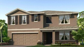 1421 Brown Mallet Place, Ruskin, FL 33570