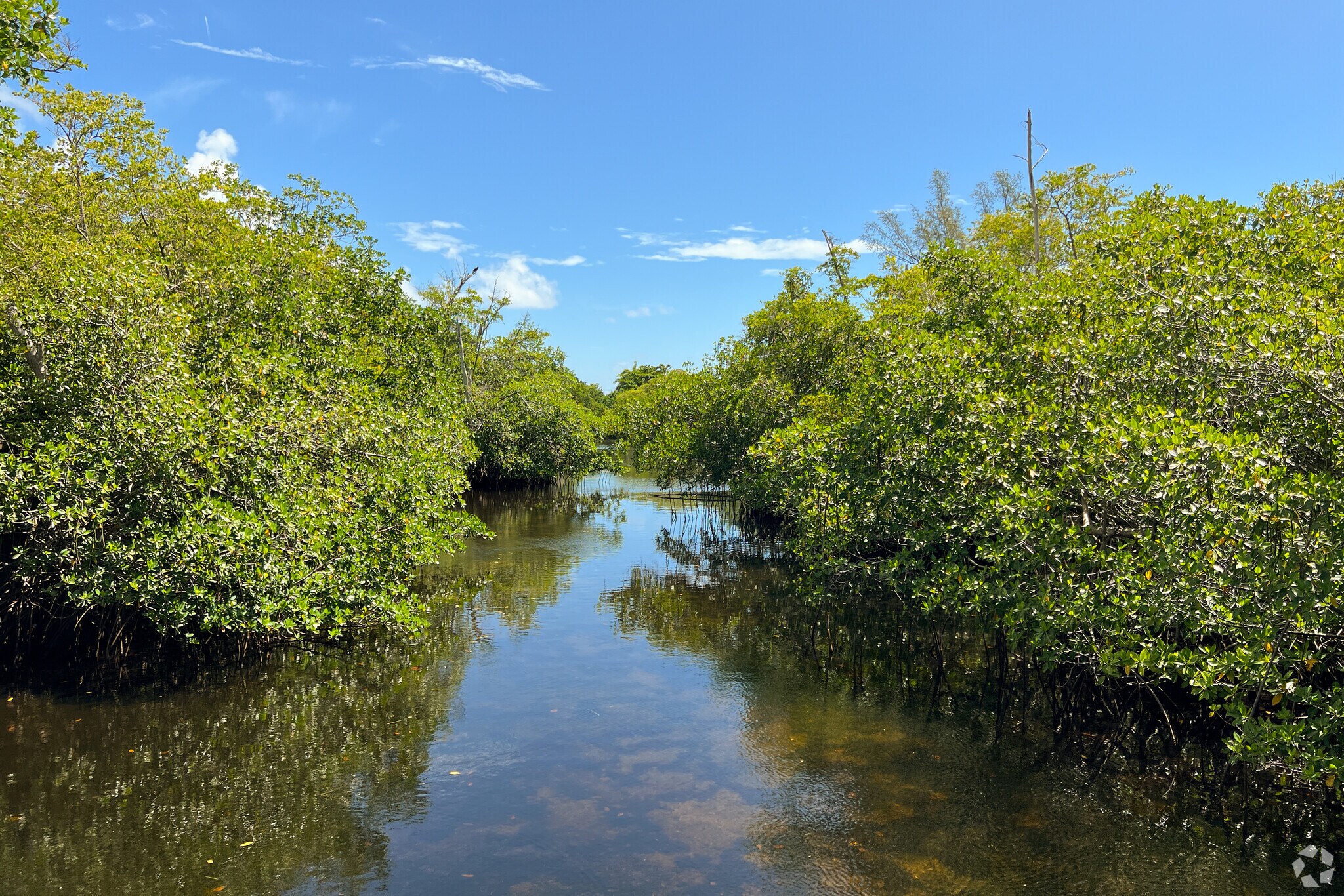 Brackish water surrounds Colohatchee Park in Wilton Manors, FL.