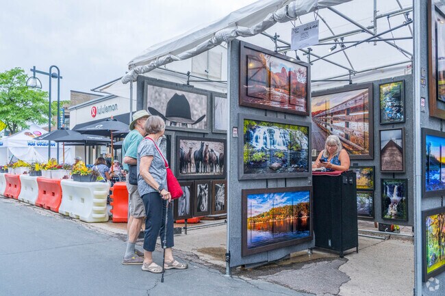 Over 250 fine artists display their work each year at the Edina Art Fair.