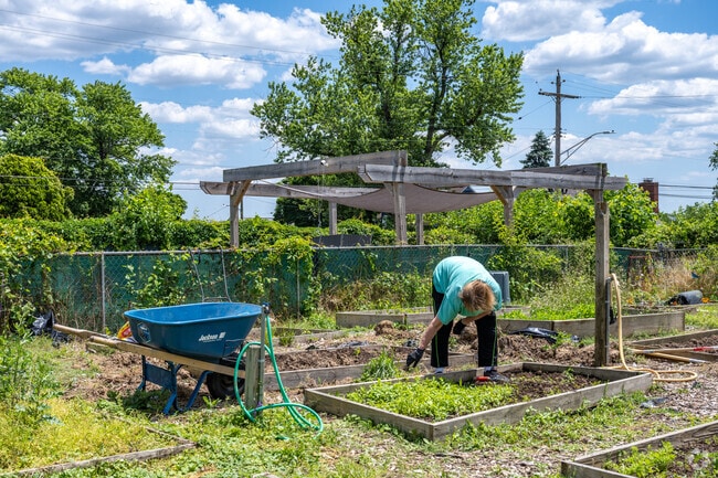 Do some gardening in Curtis Bay.