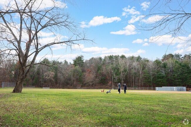 Morris Street Recreation area welcomes four-legged friends for playdates.