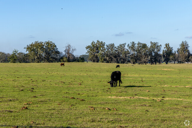 Newberry has plenty of land for farmers and ranchers alike.