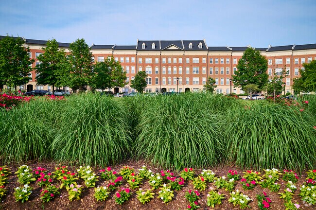 Haymarket, Virginia offers scenic views, friendly neighbors, and a relaxed lifestyle.