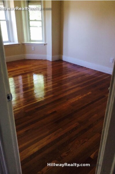 16 Cobden St unit 1, Roxbury, MA 02119 - photo 5