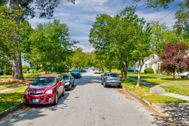 Tree lined streets in the Wards Corner neighborhood of Norfolk Virginia.