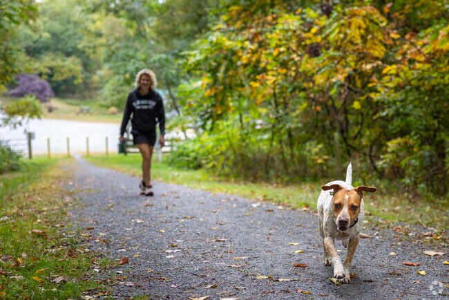 Bell's Gap Trail is a popular hiking spot for residents and their canine pals in Grazierville.