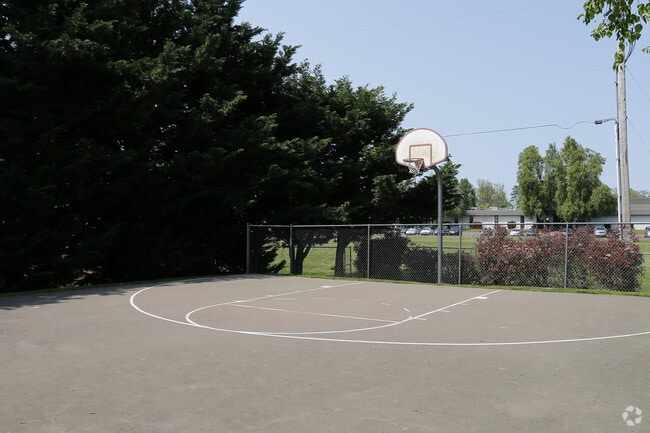 Basketball Court