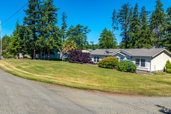 Tall evergreen trees provide natural privacy between some yards in Bay City.